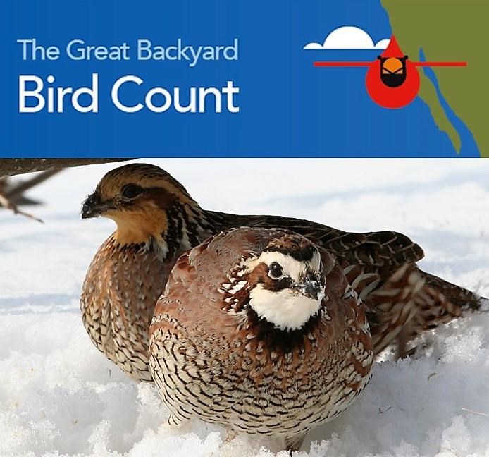 2018 Great Backyard Bird Count