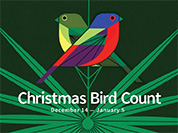 Christmas Bird Count