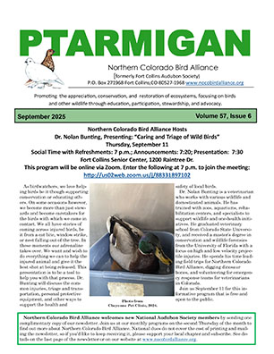 newsletter cover